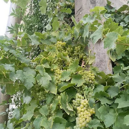 Couette-café Bb In Coulonces (Orne)